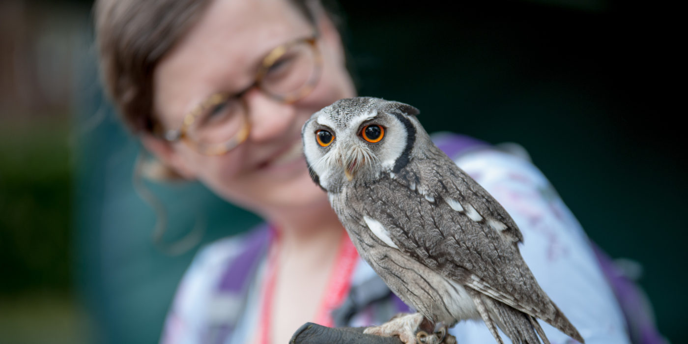A woman holds a baby owl at Making Leeds Medieval 2018