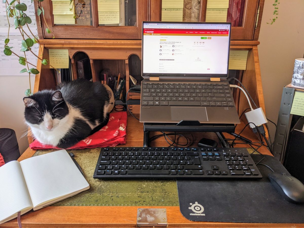 A cat rests next to a laptop which shows the join screen for the next IMC session 